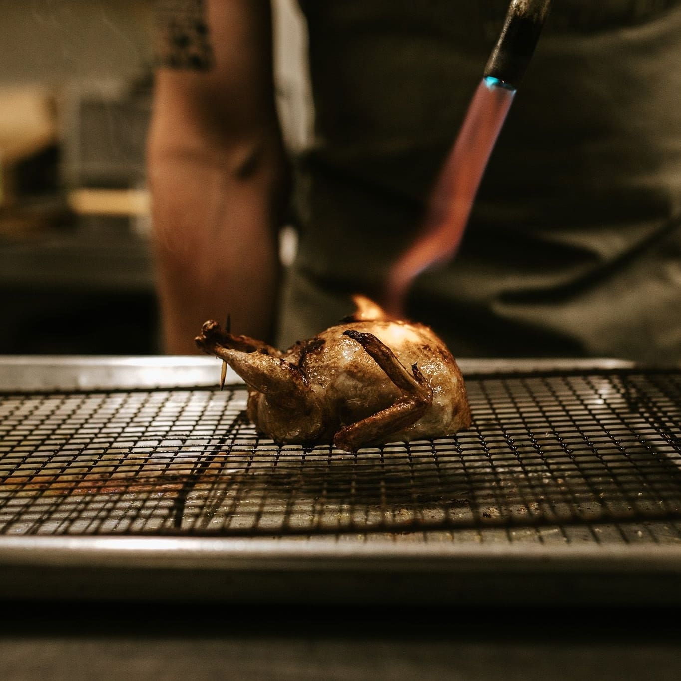 Quail being torched
