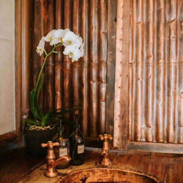 Cottage - bathroom sink with flower vase (AIC - April 2022) - square - resized